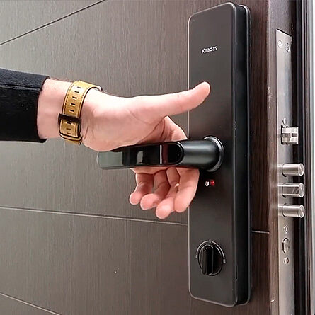 Biometric lock opening