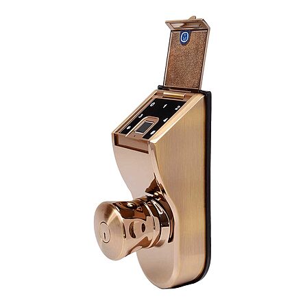 bronze-side-transparent-bg